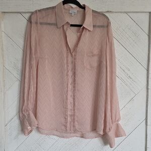 Next Blush Sheer Button Down Shirt